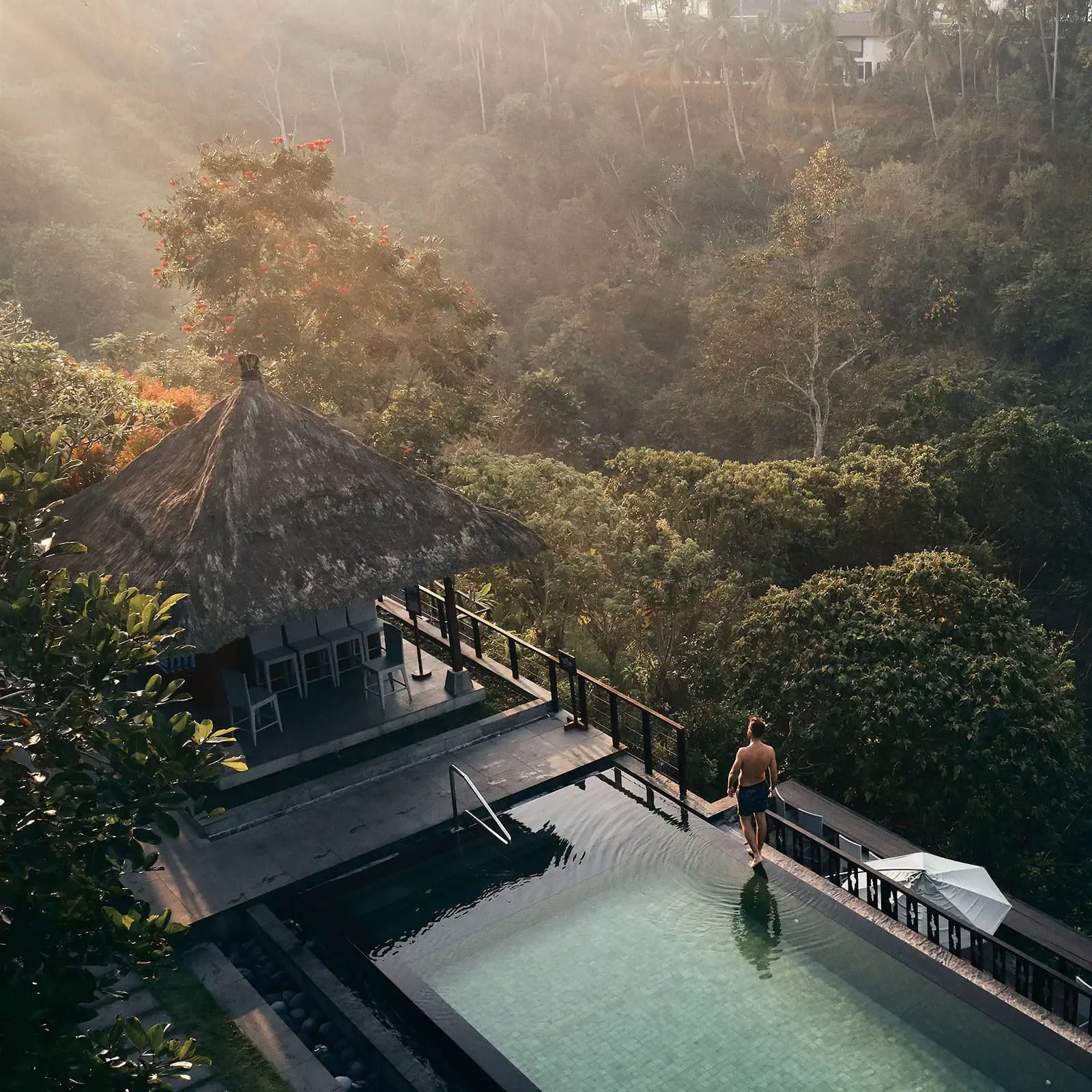 Infinity Pool mit Blick auf den Urwald Balis
