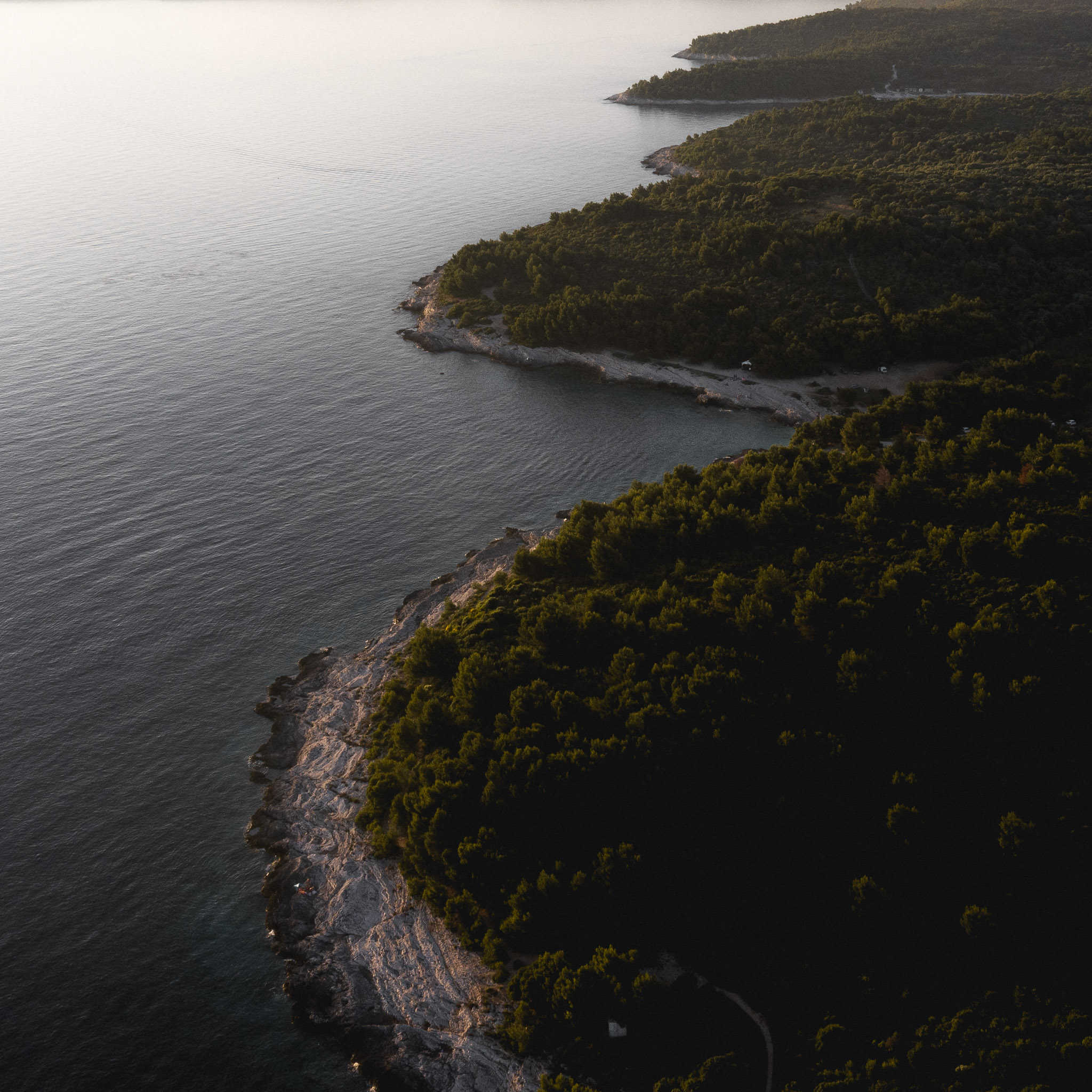 Bewachsener Teil einer Insel in Kroatien