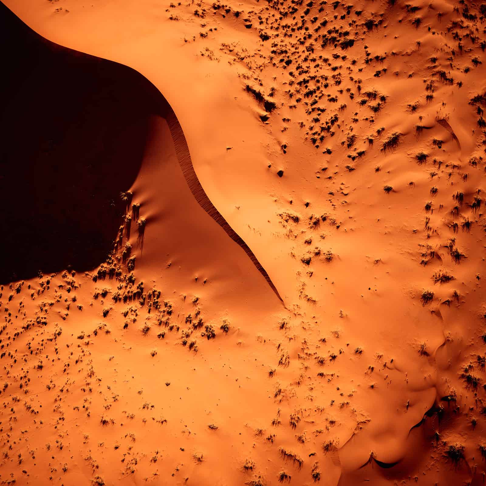 "Color of the Desert" Luftbild der Wüste Namibias - Farbspiel in den schönsten Orangtönen