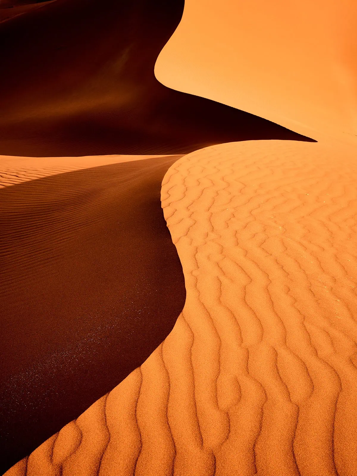 "Desert Bird" Luftbild einer orangen Sanddünen, wunderbares Schattenspiel in allen Orangetönen