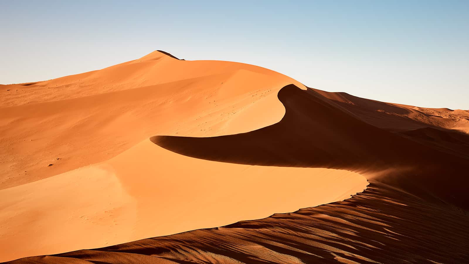 "Dune 45" hohe orange-goldenen Sanddünen im Hintergrund ein strahlend blauer Himmel