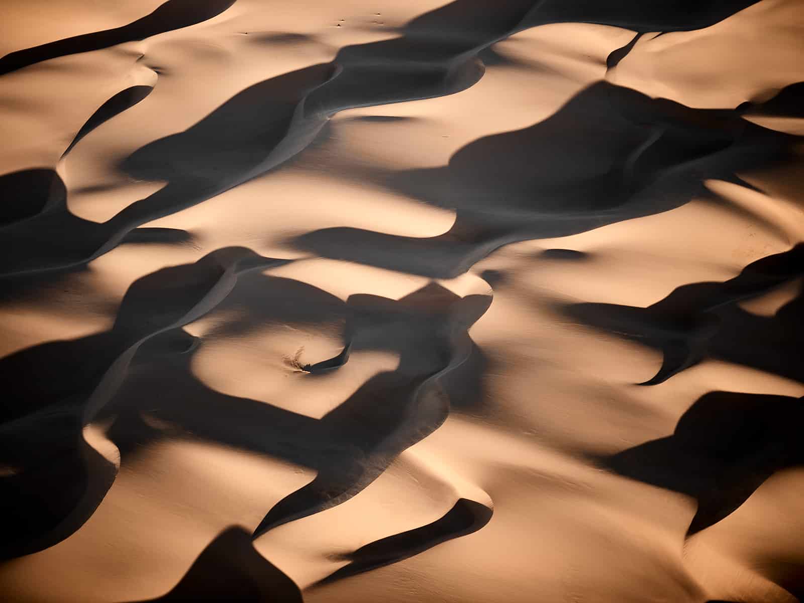 "Lonley Shadows" Luftbildaufnahme der Wüste mit Ihren Dünen, wunderschöne Farben in Orange bis Gold